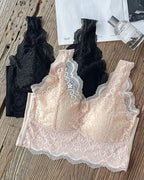 2-Pack Lace Scallop Trim Lace Bralette V-Neck Camisoles